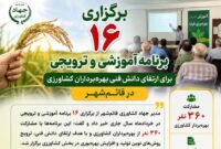 ۱۶ برنامه آموزشی و ترویجی کشاورزی در قائم‌شهر برای ۳۶۰ بهره‌بردار برگزار شد