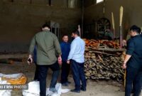 دستگیری دو خریدار چوب قاچاق در پرونده سازمانیافته قاچاق چوب آمل دستگیری دو خریدار چوب قاچاق در پرونده سازمانیافته قاچاق چوب آمل