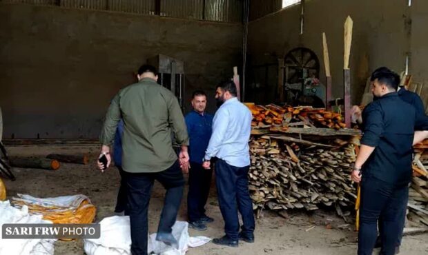 دستگیری دو خریدار چوب قاچاق در پرونده سازمانیافته قاچاق چوب آمل