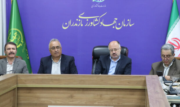 ظرفیتهای صنعت طیور مازندران باید متوازن و بهرهور شود؛ راهکارهای عملیاتی، محور تحول صنعت طیور استان است