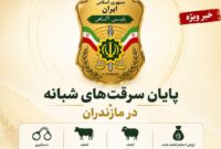 انهدام باند حرفهای سرقت احشام در مازندران؛ کشف سرقت ۷۵ رأس دام انهدام باند حرفهای سرقت احشام در مازندران؛ کشف سرقت ۷۵ رأس دام