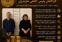 سرقت ۹۰ سکه و ۲۱۰ گرم طلا از گاوصندوق؛ پای فرد مورد اعتماد خانواده در میان بود سرقت ۹۰ سکه و ۲۱۰ گرم طلا از گاوصندوق؛ پای فرد مورد اعتماد خانواده در میان بود
