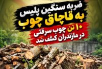 ۱۰ تن چوب قاچاق و سرقتی در مازندران کشف شد
