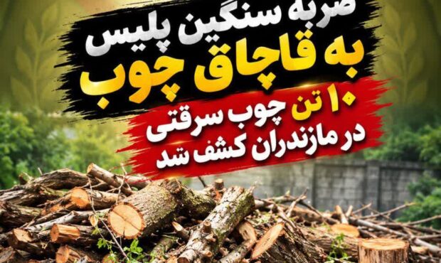 ۱۰ تن چوب قاچاق و سرقتی در مازندران کشف شد
