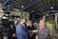 نارنگی ساری باید از محصول به برند تبدیل شود؛طی ۲۰ روز آینده باید قیمت واقعی نارنگی مشخص شود