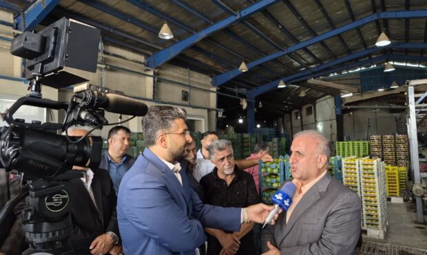 نارنگی ساری باید از محصول به برند تبدیل شود؛طی ۲۰ روز آینده باید قیمت واقعی نارنگی مشخص شود