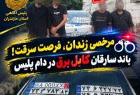 ۲ زندانی در مرخصی، اعضای باند سرقت کابل برق در مازندران ۲ زندانی در مرخصی، اعضای باند سرقت کابل برق در مازندران